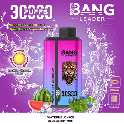 Purple-pink ad showing a tall rectangular Bang Leader disposable vape with a roaring tiger logo and "30,000 puffs" label, promoted as dual flavors Watermelon Ice and Blueberry Mint with watermelon slice, blueberries, mint leaves and ice cubes amid water splashes and small icons for 550mAh battery and mesh coil.