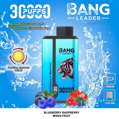 Bright blue advertisement for a Bang Leader 30,000‑puff dual‑flavor disposable vape showing a turquoise rectangular device with a snarling tiger graphic, splashing water background, mixed fruits (blueberries, raspberries, strawberries and blackberries) at the base, product icons for rotating holder, 550mAh battery and mesh coil, and the label 'Blueberry Raspberry Mixed Fruit'.