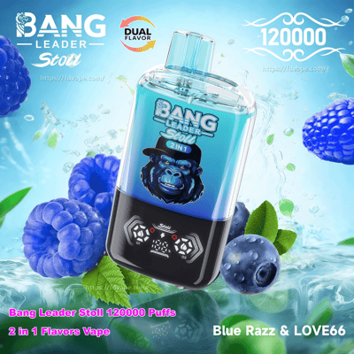 Glossy blue Bang Leader Stoll disposable vape device with a digital display and 'Dual Flavor' badge floating amid splashing water, blueberries, blue raspberries and mint leaves, with text noting 120000 puffs and Blue Razz & LOVE66 flavor.