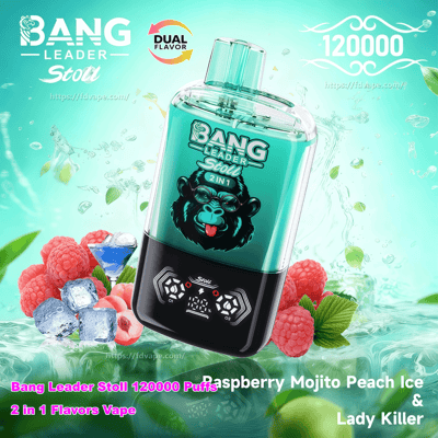 Teal-and-black Bang Leader Stoll disposable vape device with a clear mouthpiece and digital display, set against a mint-green watery background with raspberries, peach slices, ice cubes and mint leaves, highlighting 'Dual Flavor' and '120000' puffs branding.