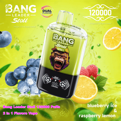 Bright lime-green advertisement featuring a clear-topped Bang Leader Stoll disposable vape with a black digital base, surrounded by blueberries, raspberries, lemon slices and ice cubes, labeled Dual Flavor and 120000 puffs with the flavor text blueberry ice & raspberry lemon.
