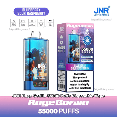 Blue and purple JNR 'Rage Gorilla' disposable vape device and matching box showing a roaring gorilla illustration, labeled Blueberry Sour Raspberry with a prominent 55,000 PUFFS claim, device icons (Type-C USB, 950 mAh), and a nicotine warning panel.
