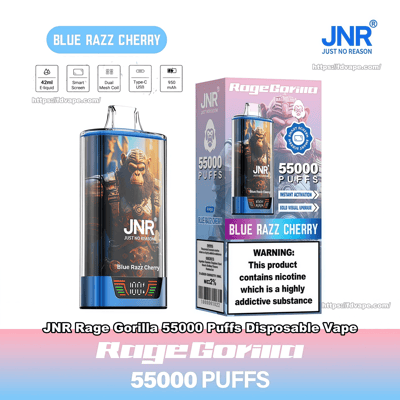 Slim metallic blue disposable vape device featuring a warrior gorilla illustration next to its matching boxed packaging labeled JNR RogeGorilla 55000 Puffs, Blue Razz Cherry flavor, with product badges (42ml e-liquid, smart screen, Type‑C USB) and a nicotine warning label.