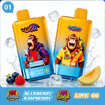 Two orange and blue drink pouches with cartoon monkeys, left labeled Blueberry Raspberry and right Love 66, surrounded by ice cubes, berries, and a melon slice.