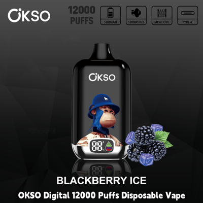 OKSO Digital 12000 Puffs disposable vape in Blackberry Ice flavor with screen display and blackberry graphics