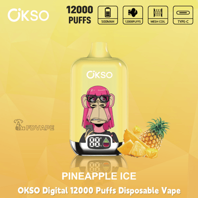 OKSO 12000 Puffs Pineapple Ice disposable vape with digital display, pineapple and citrus graphics, 500mAh Type-C device