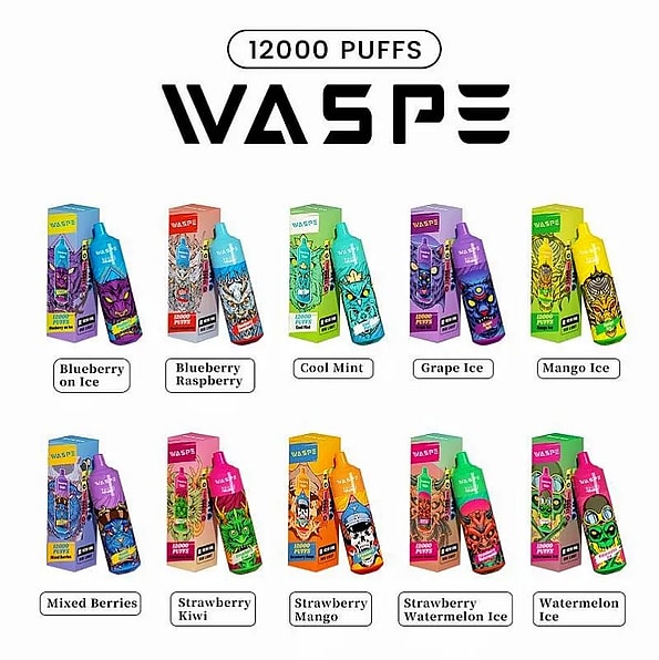 WASPE 12000 12k Puffs Einweg-Vape