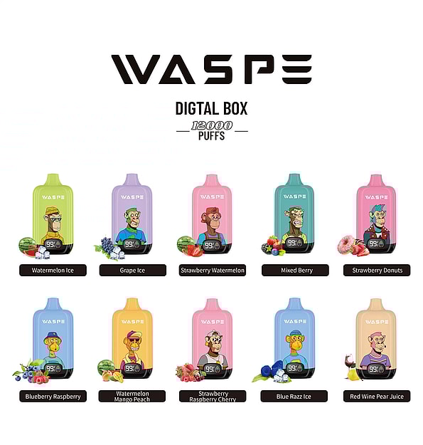 WASPE 12000 12k Puffs Digitalbox Einweg-Vape