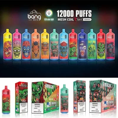 Bang Box 12000 Puffs disponibel vape - högkapacitet engångs vaping enhet