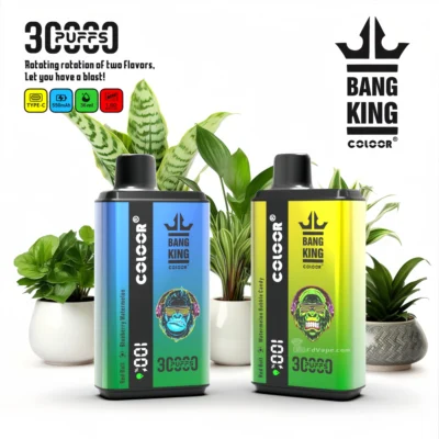 Bang King 30000 30k Puffs Double Taste Disposable Vape 0% 2% 3% 5% Nicotine 12Tastes LED Display Factory Direct