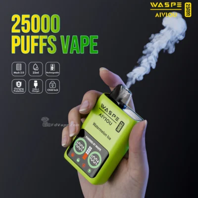 WASPE 25000 25K Soffi monouso Vape 0% 2% 3% 5% Nicotina 10Tastes Display a LED Fabbrica diretta