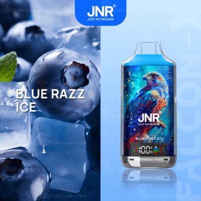 Blue Razz Ice vape product with blueberry and ice cube visuals, featuring a hawk illustration on the packaging and the JNR "Just No Reason" branding.