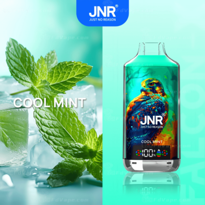 JNR vape device with "Cool Mint" flavor, featuring a close-up of fresh mint leaves on ice and a colorful hawk illustration on the vape bottle.