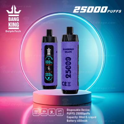 Wegwerp-vape-apparaat met 25.000 trekjes, bosbessensmaak, 30 ml e-liquidcapaciteit, 650 mAh-batterij en mesh-coil, met de merknaam "Bang King" van DelphiTech, afgebeeld tegen een futuristische, oplichtende achtergrond.